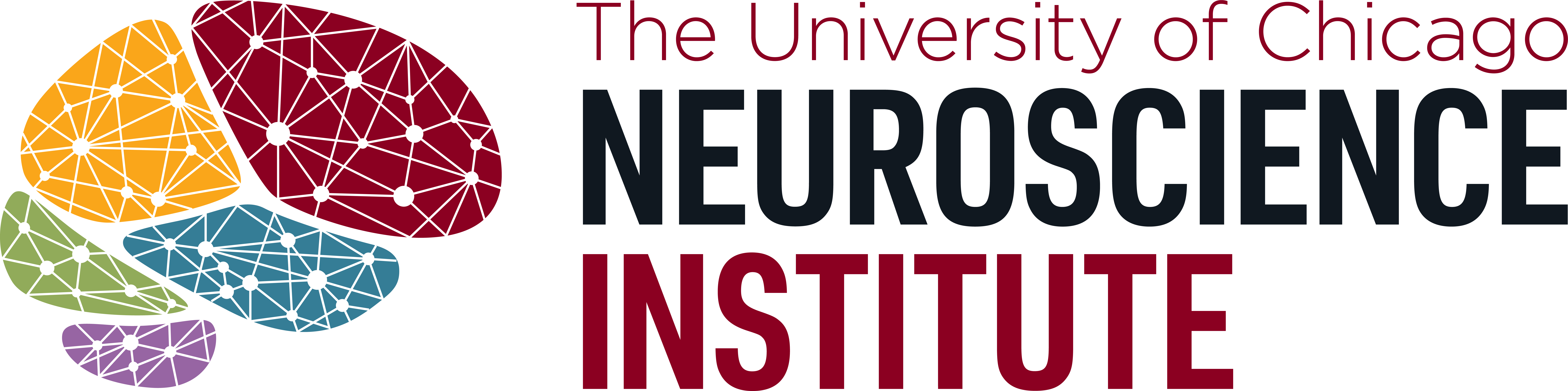 Neuroscience Institute